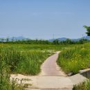 율곡천 5 이미지