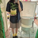 [강남 원데이 클래스] 온도르 스튜디오 터프팅 공방 : 혼자 화분 만들고 온 후기 풀어용
