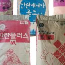 한일닭유통 네이버블로그