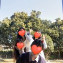 서귀고양이 | [제주] 2박3일 제주도 우정여행2. 서귀포 감성 분위기 숙소 조식, 제주 잔잔