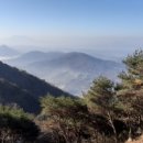 예산-08 이미지