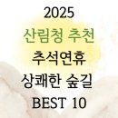 비슬산둘레길 7구간 | 산림청 추천! 추석 연휴 가볼만한 상쾌한 숲길 선정 TOP10