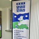 매너독반려견교육센터 이미지
