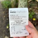 통영FH365 오션뷰스파가족펜션 | 통영 FH365 전세낸 줄 알고 놀았던 수영장 있는 통영 펜션 내돈내산 에프에이치365