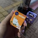 세븐일레븐 남양주오남점 | 삿포로 1일차(02.06)