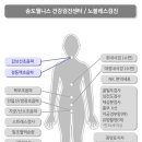 웰니스건강힐링센터 이미지