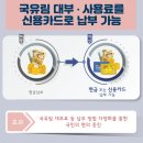 국유림 이미지