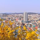 구 동본원사 목포별원 이미지