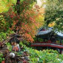 보경사 입구 이미지