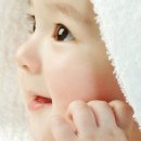 플랜휴 이미지