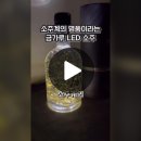 소주계의 명품이라는 금가루 LED 소주 이미지