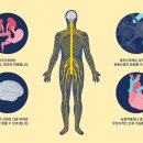 제대로온신경외과의원 이미지