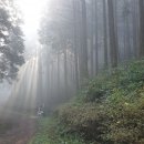 들국화목장 이미지