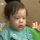 돌고래시장 이미지