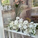 소예플레르 이미지