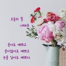 오늘의 꽃 이미지