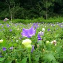 존재의 무게 이미지