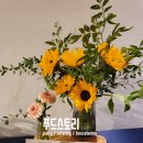 이따리아나 이미지