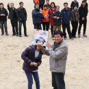 하성초교 이미지