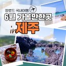 귀덕하우스 바당드레 | 6월 제주도 여행 계획 중이신 분, 제주도 차 렌트부터 가볼만한곳까지 알려드려요