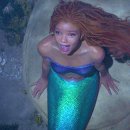 The Little Mermaid 이미지