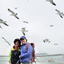 이산저산 이미지