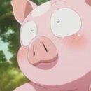 민영이네 이미지