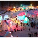 2015.1.17(토.당일)대관령 눈꽃축제~삼양목장 트래킹 이미지
