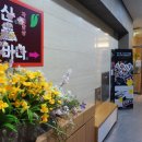 산들바다 이미지