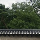 일기 밀리니까 쓰는게 힘들어서 안미룰꺼야