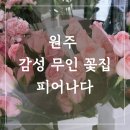 세븐일레븐 원주공원점 | 원주 꽃집 피어나다 ! 졸업식 꽃선물 하기 좋은 곳 - 무인 운영꽃집 꽃배달도 가능