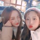 다빈 Daum카페