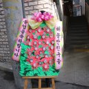 일곱색깔유치원