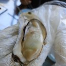 여수 장수촌 이미지