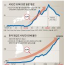 버블 이미지