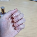 보나럭스 이미지