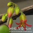 사계절다육농장 이미지
