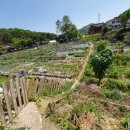 봉의농장 이미지