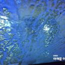 장모님주유소 이미지
