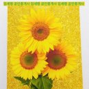 임세령공인중개사사무소 이미지