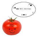 [마케팅 부트캠프/퍼포먼스 마케터 취업 준비] 도와세움 디마에 77기 7주차(1) : 벌써 7주차라니