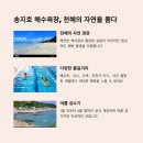 송지호 해수욕장 민박 완벽 가이드 – 바다와 숲이 어우러진 힐링 민박 체험