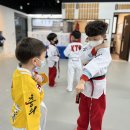 충의태권도 이미지