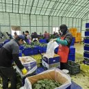 으뜸초등학교 이미지