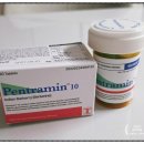 민정이네 | 다이어트보조제 펜트라민정 내돈내산! 겨울폭식후 먹어본 리얼후기!