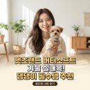 펫츠올 동물의료원 | 펫츠랜드 강아지 실내복 진작 살걸 버터처럼 부드러워요