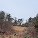 황윤길 묘 이미지