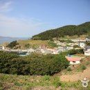 바람의 언덕 이미지