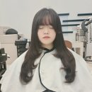 디와이샵 이미지