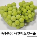 복주농장 네이버블로그